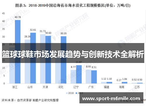 篮球球鞋市场发展趋势与创新技术全解析