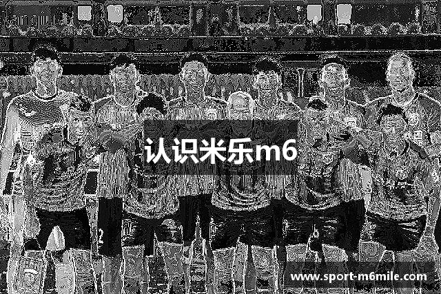 认识米乐m6